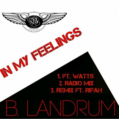In My Feelings - Single
