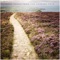 Morecambe - The Coastal Path lyrics