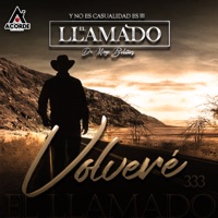 Volveré - Single - El Llamado de Mingo Bolaños