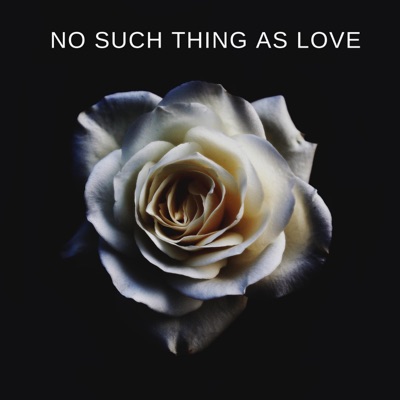 No such thing as love - Single