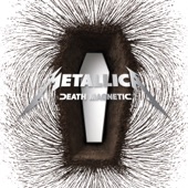 Metallica - That Was Just Your Life
