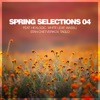 Spring Selections 04 - EP