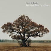 Sam Roberts Band - Hard Road