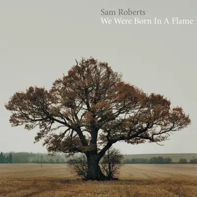 We Were Born in a Flame (Deluxe) - Sam Roberts