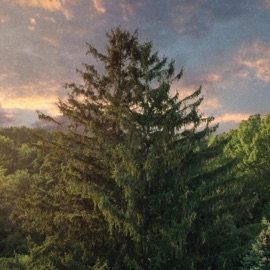 Awareness (feat. ESCHES) Liam Rogers