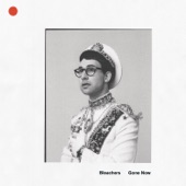 Bleachers - Everybody Lost Somebody