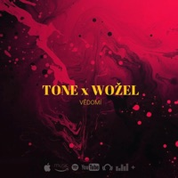 Vědomí (feat. Wožel) - Single - TONE_OFF