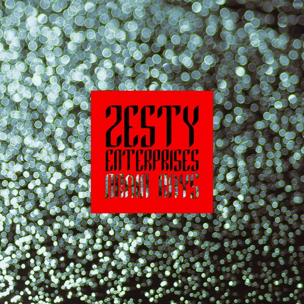 Zesty Enterprises