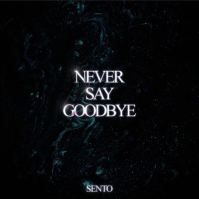 Never Say Goodbye - Single