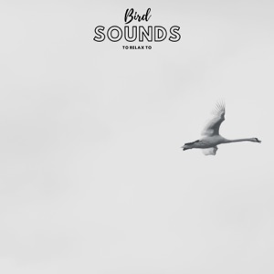 Bird Sounds To Relax To - Single