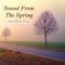 Sound From the Spring artwork