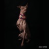 Milena Warthon - Mashup Peruano