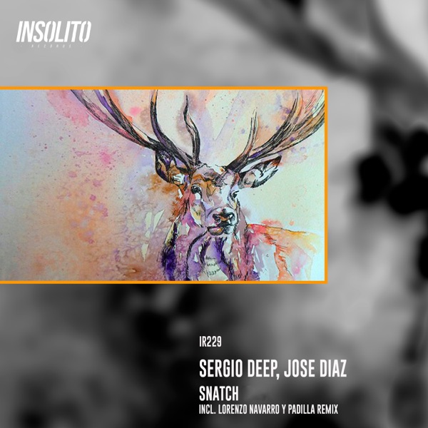 Snatch - Single