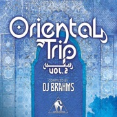 Oriental Trip, Vol. 2 (Compiled by DJ Brahms) artwork