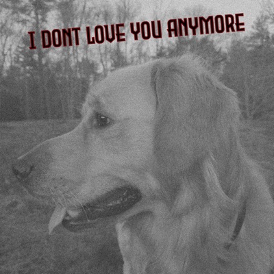 I Don't Love You Anymore - Single