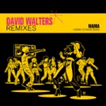 David Walters - Mama (Henrik Schwarz Remix)