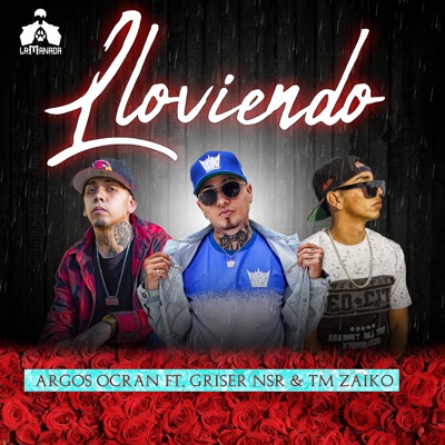 Lloviendo (feat. TM Zaiko & Griser Nsr) - Single