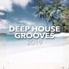 Deep House Grooves 2019