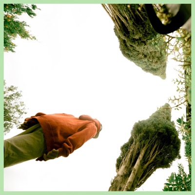 No Tints (Rolla) [feat. Austin Green] - Single