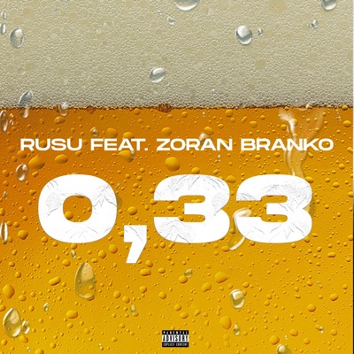 0.33 (feat. Zoran Branko) - Single
