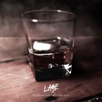 Searching for Solace - Single