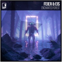 Enchanted Forest - Single - FEIER & EIS