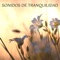 Dormir Profundamente - Calmar la Ansiedad lyrics