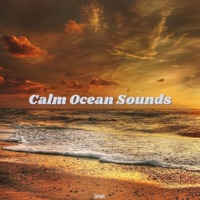 Calm Ocean Sounds - Derrol