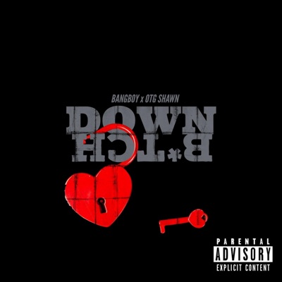 Down Bitch (feat. OTG Shawn) - Single