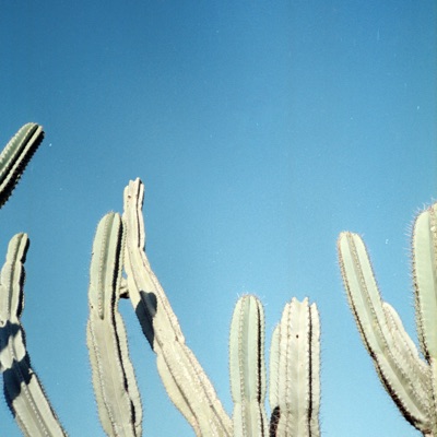 TENNIS (feat. Berna) - Single