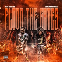 Flood the Gates (feat. Cocaine Mali) - Single - $ay Dinero