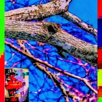 DoYouUnderstandTheeWordsThatRComingOutOfMyMouf?! - Single - Lord Hidetora & Infinite Disease