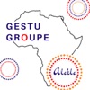 Gestu Groupe