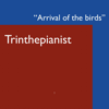Arrival of the Birds - Trinthepianist
