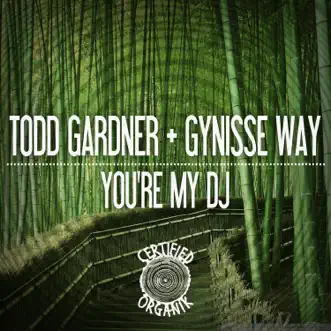 You're My DJ (Saxy Reprise) by Todd Gardner & Gynisse Way song reviws