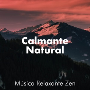Calmante Natural - Música Relaxante Zen que pode reduzir o estresse