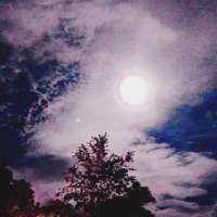 Morbid//Unique - EP - MIAMI DAVE