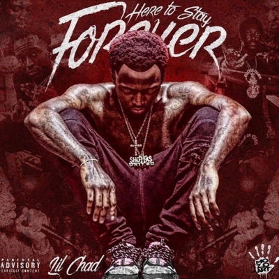 Here To Stay Forever