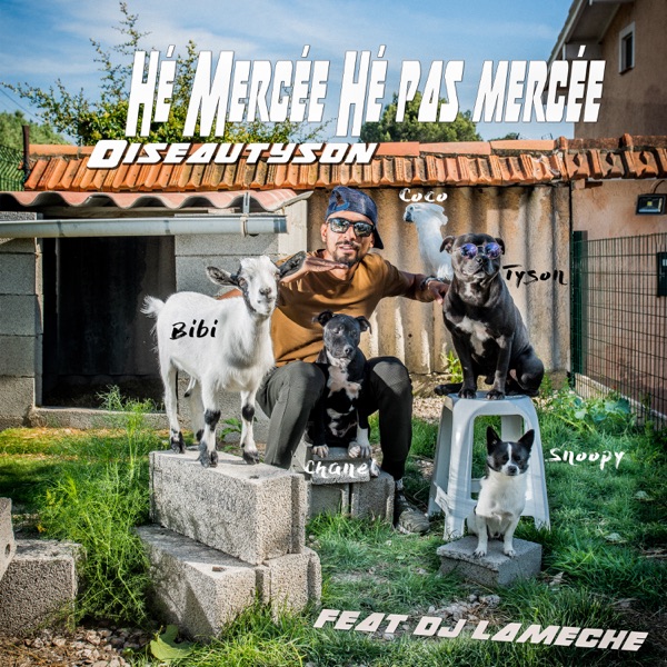 Hé Mercée Hé Pas Mercée (feat. DJ La Mèche) - Single - OISEAUTYSON