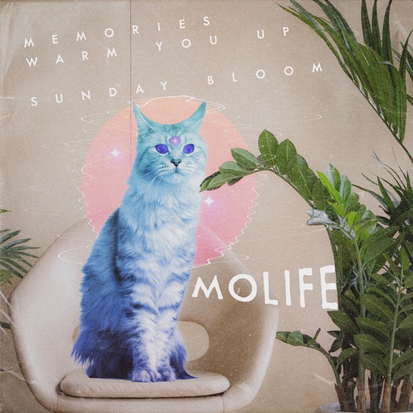 Memories Warm You up / Sunday Bloom - Single