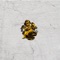 Miquela - Goldkeyz lyrics