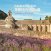Abbaye de Sénanque - Laudes et Vêpres - Schola des moines de l'Abbaye de Sénanque