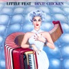 Dixie Chicken album cover