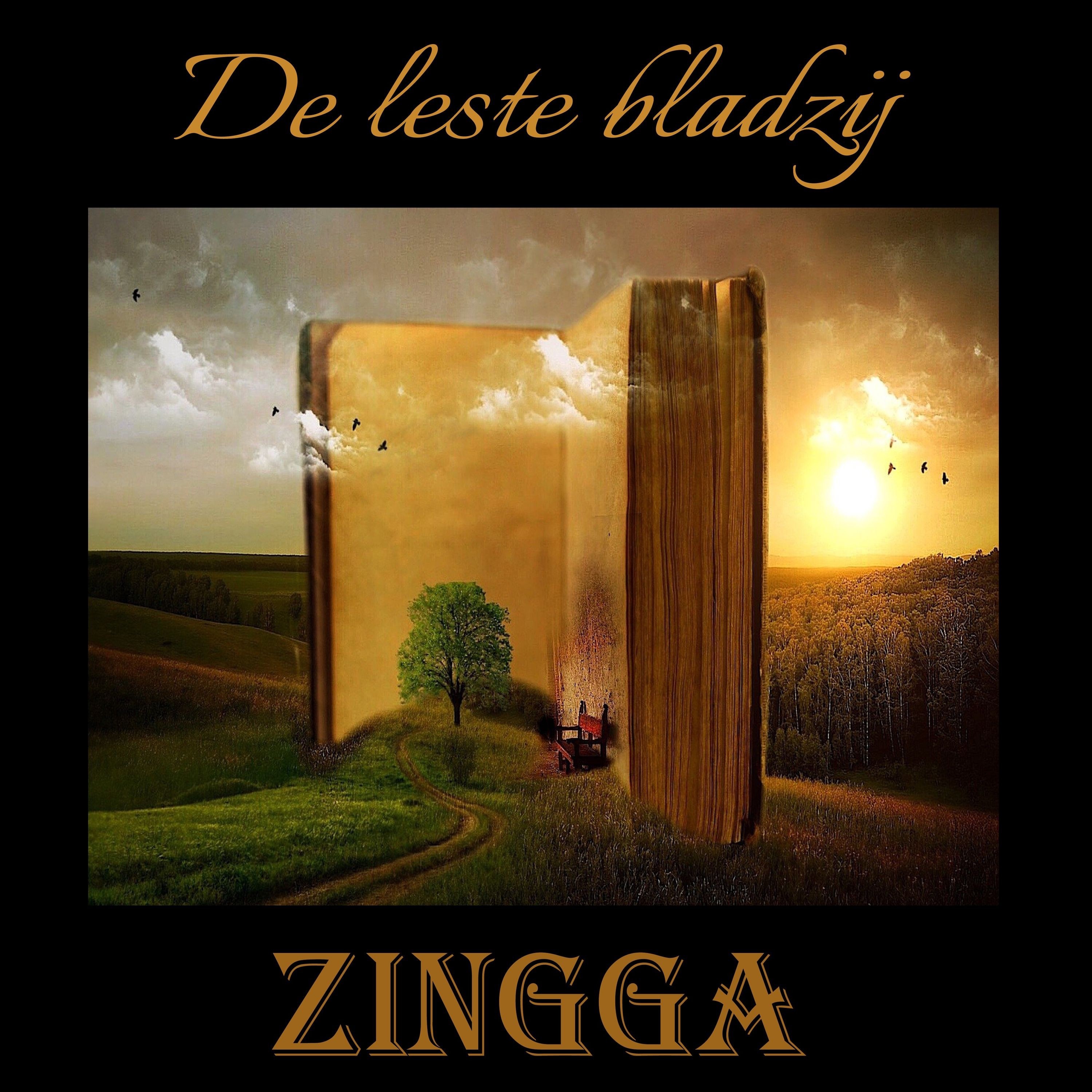 De leste bladzij - Single