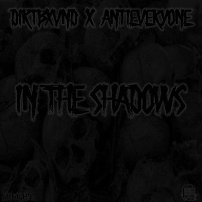 In the Shadows (feat. Antieveryone) - Single