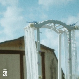 white roses (feat. aldrch & Sawce) abbot