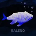 Baleno