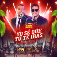 Yo Sé Que Tú Te Irás (feat. Deyvis Orosco) - Single - Los 5 de Oro
