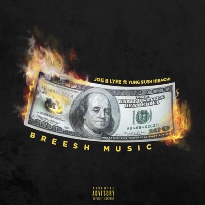 Breesh Music (feat. Yung Sush-Hibachi) - Single