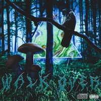 Walk Over - Single - anuphoria